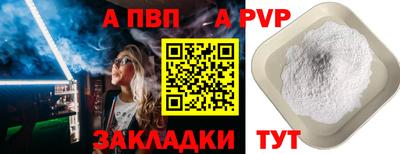 бошки Кингисепп