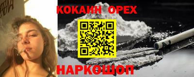 бошки Кингисепп