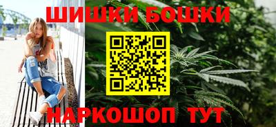 бошки Кингисепп
