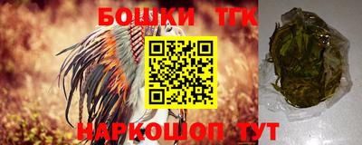 бошки Кингисепп