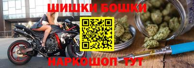 бошки Кингисепп