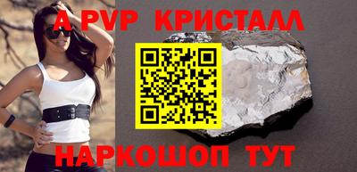 бошки Кингисепп