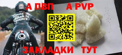 бошки Кингисепп