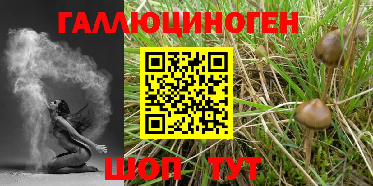 Псилоцибиновые грибы мухоморы  Галлюциногенные грибы мицелий  Вход с VPN  Красноуфимск 